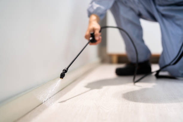 Licensed Pest Control service in South Pasadena, CA - Show Me Pest Control