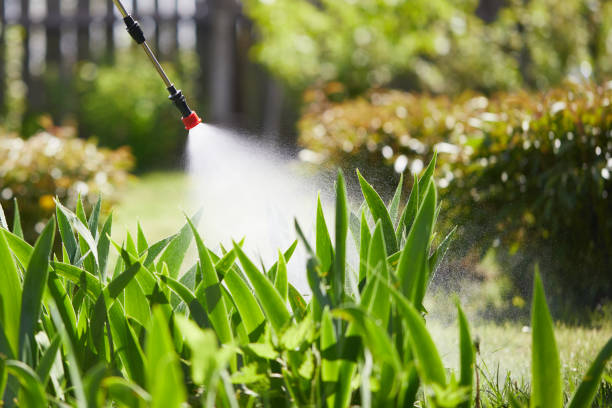 24/7 Emergency Ant Control experts in South Pasadena, CA